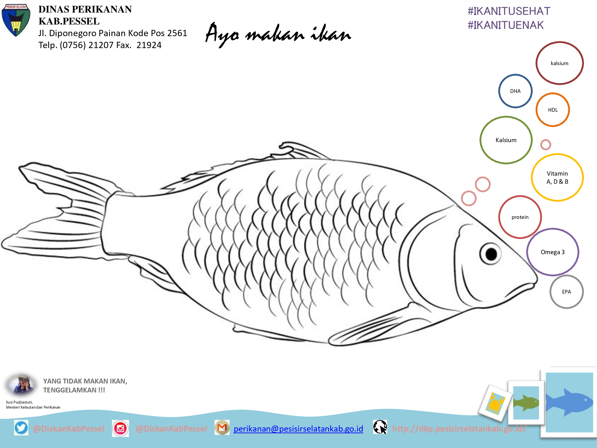 Dinas Perikanan Pessel Gemarkan Gerakan Memasyarakatkan Makan Ikan (Gemarikan)