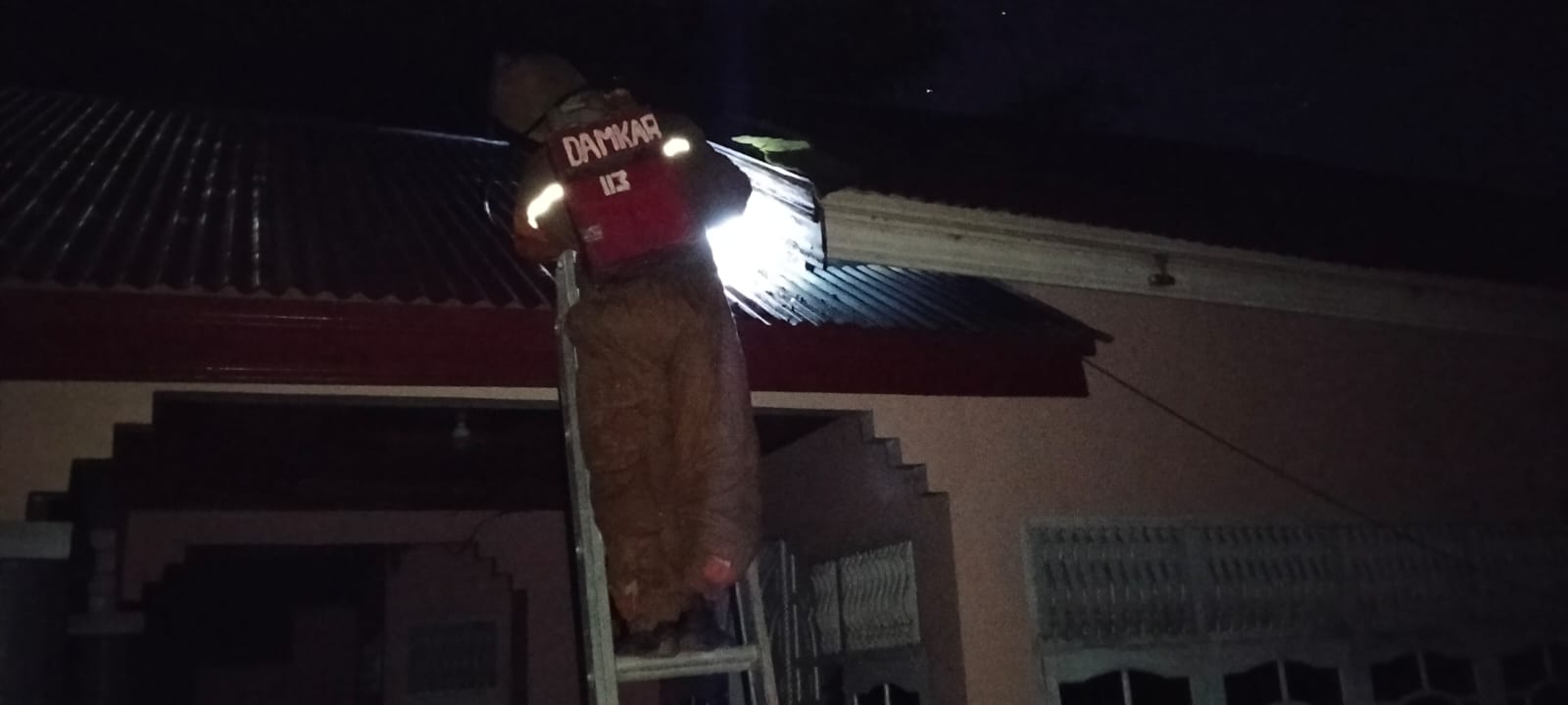 Respon Cepat Damkar Pessel, Sarang Tawon di Rumah Warga Berhasil Diamankan