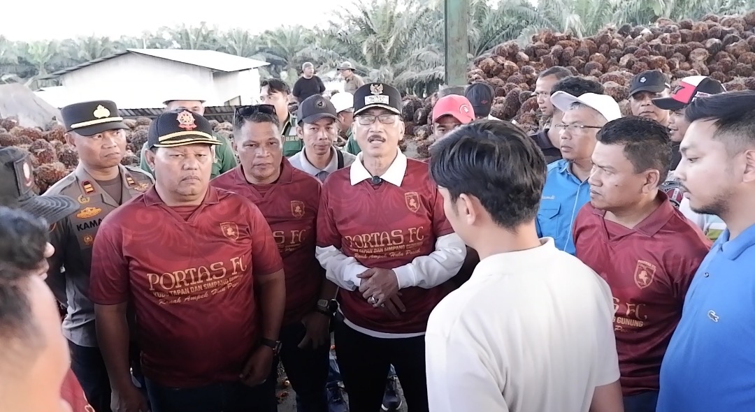 Kadis Pertanian Pessel Hamdi Dampingi Bupati Hendrajoni Pantau Langsung Harga TBS Sawit