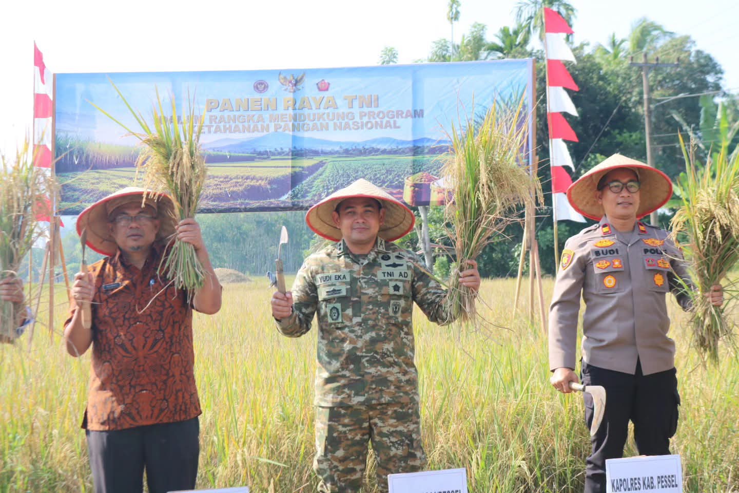 Dinas Pertanian Pesisir Selatan Bersama TNI Gelar Panen Raya di Bayang