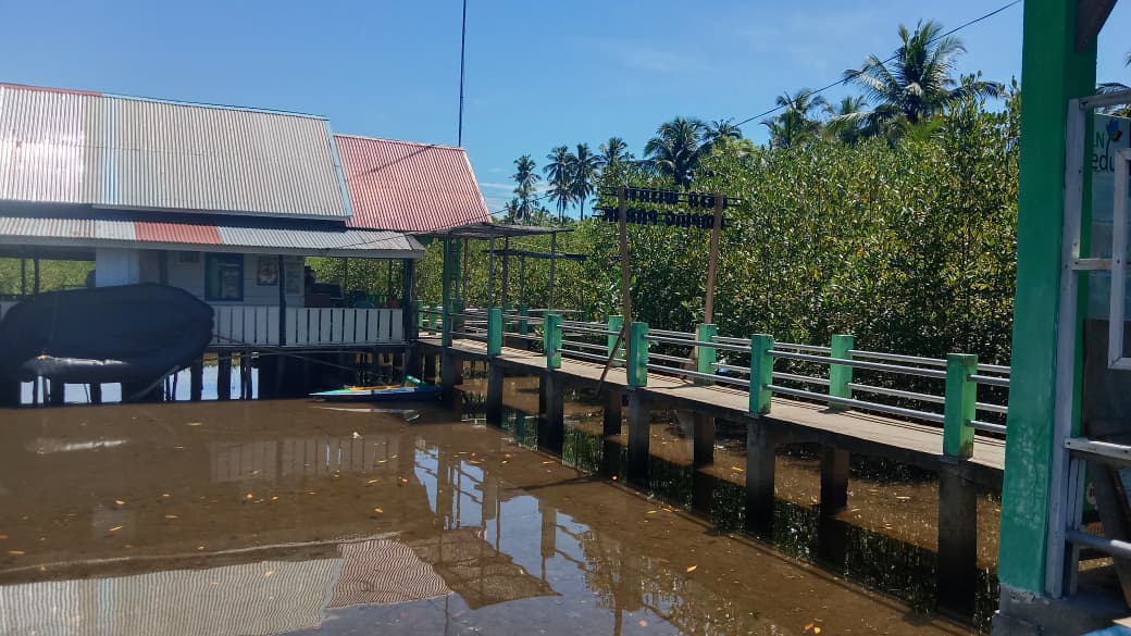 Dukung Gerakan Nasional, AJPLH Siapkan Aksi Tanam Mangrove dan Pelepasan Penyu di Amping Parak