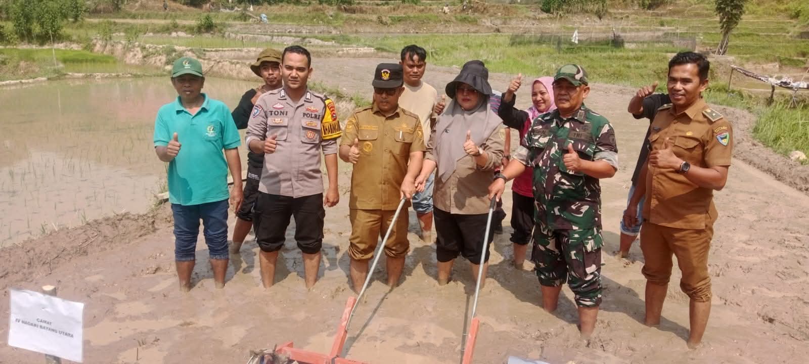 Camat IV Nagari Bayang Utara Lakukan Tanam Serentak di Nagari Pancuang Taba