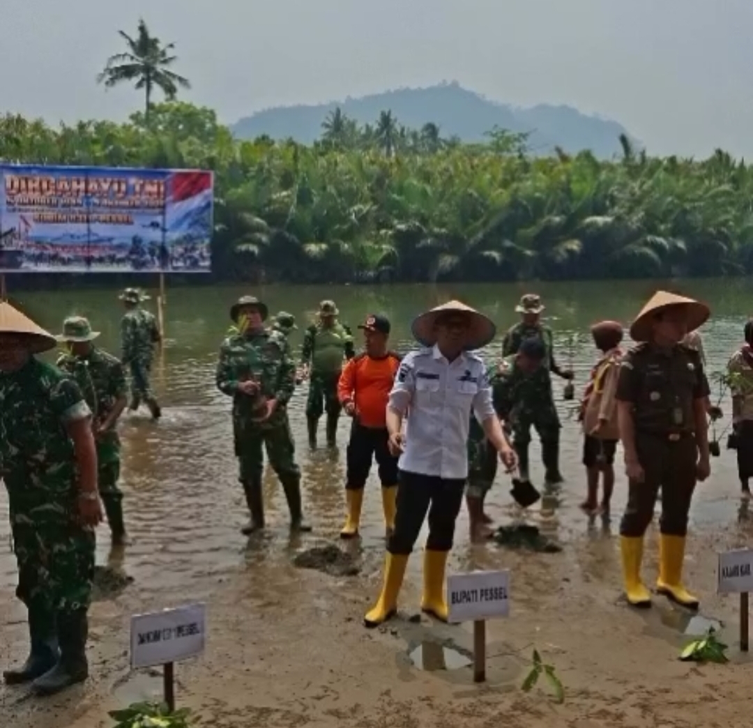 Asisten Administrasi Umum Setdakab Pesisir Selatan Hadiri Kegiatan Penanaman Mangrove di Pantai Pasar Lamo Salido