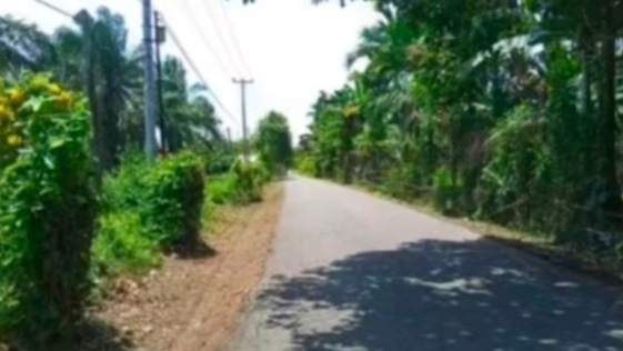 Pemkab Pesisir Selatan Bersihkan Bahu Jalan Padang Marapalam–Lakitan Jelang Musim Penghujan