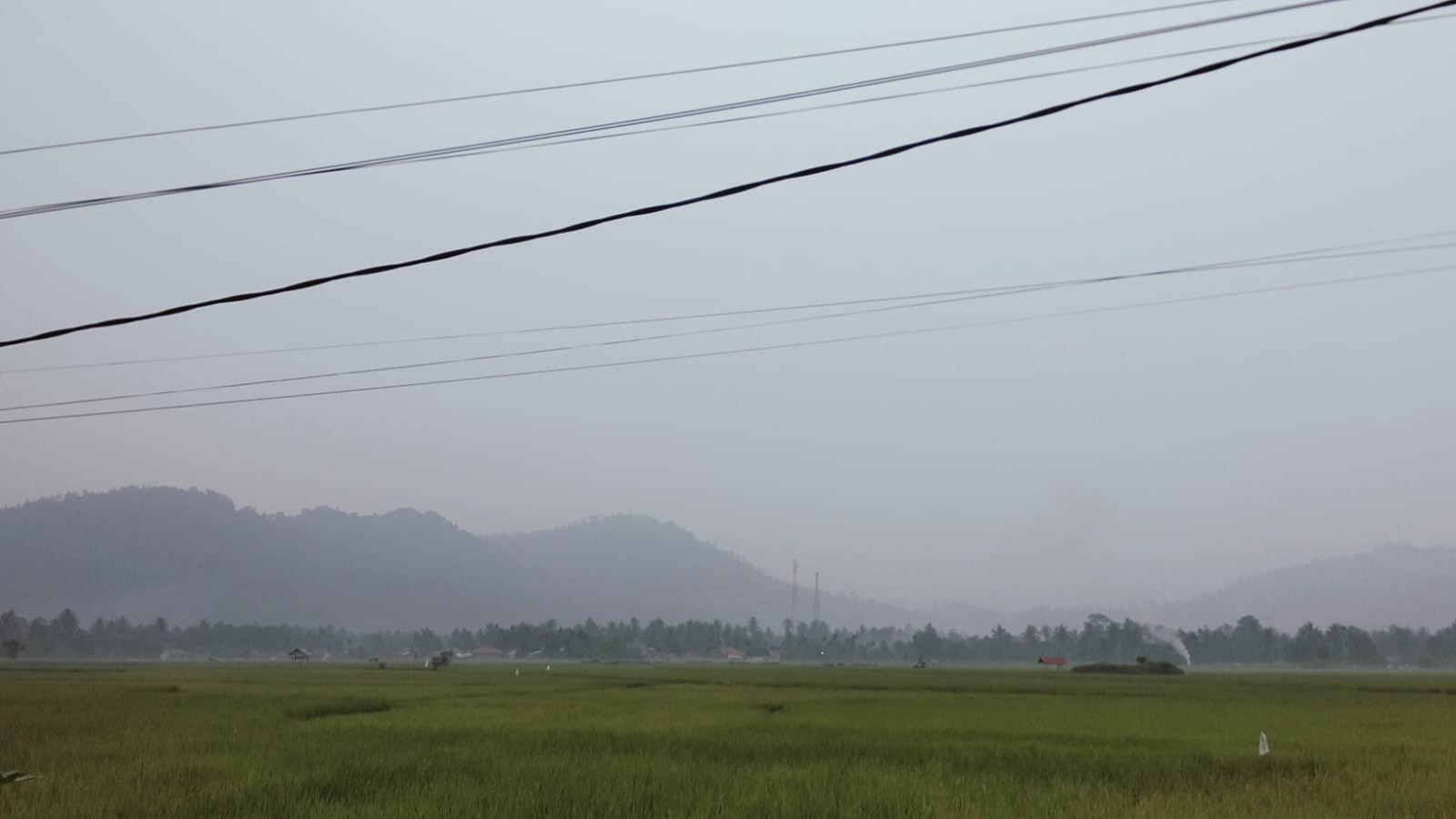 Camat Bayang Imbau Warga Waspadai Kabut Asap, Utamakan Kesehatan dan Keselamatan