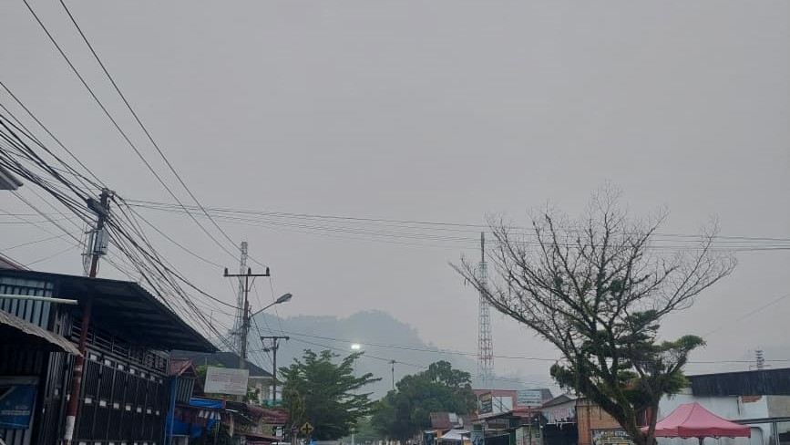 Kualitas udara Menurun, Bupati Pessel Bertindak Cepar Selamatkan Masyarakatnya Dengan Cara Ini