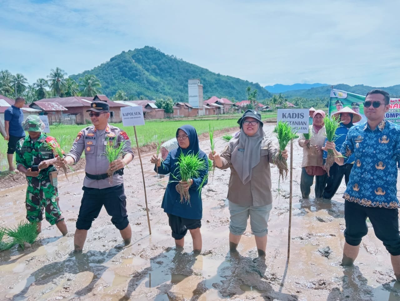  Perkuat Ketahanan Pangan, Nagari Padang XI Punggasan Canangkan Gerakan Tanam Serentak