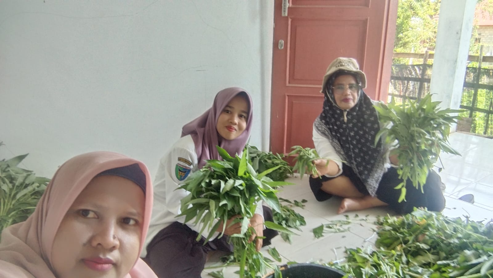 Mudah Tumbuh dan Kaya Nutrisi, Masyarakat Diajak Membudidayakan Sayur Kangkung di Pekarangan Rumah