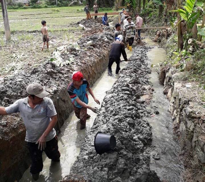 Bangunan saluran irigasi dalam mendukung hasil produksi padi
