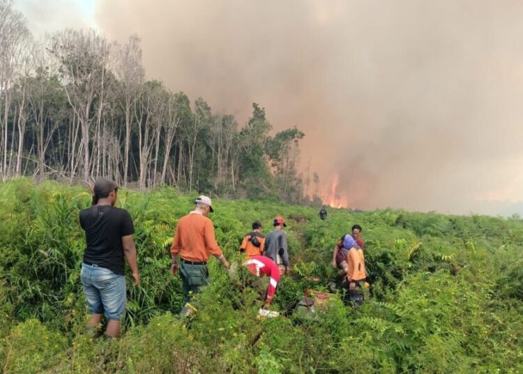 Karhutla di Silaut Terus Meluas, Titik Api Baru Mulai Bermunculan