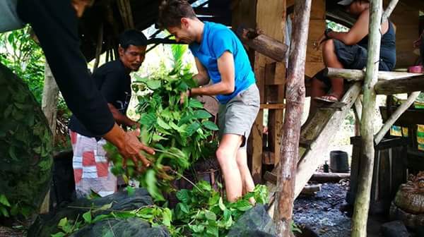 Dua Wisatawan asal Prancis dan Mexico, terkesan pengolahan Kebun Gambir Tradisional di Pessel