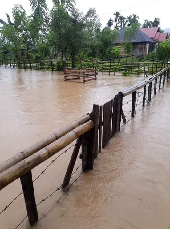 Melalui Dana Tanggap Darurat, PSDA Pessel normalisasi sungai Batang Tapan