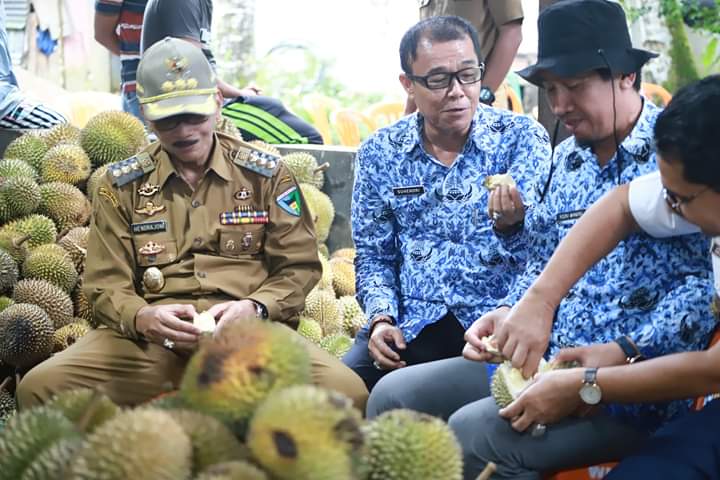 Bupati Minta BUMNag Taratak Tampatiah Tingkatkan Produksi Buah Durian Kemasan