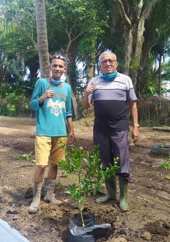 Bernilai Ekonomis Dan Ramah Lingkungan, Pertanian Organik Dikembangkan