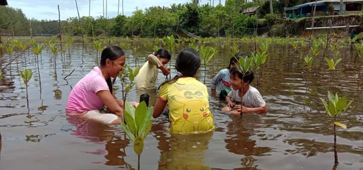 Laskar Pemuda Peduli Lingkungan Amping Parak Kembangkan Zona Edukasi Mangrove