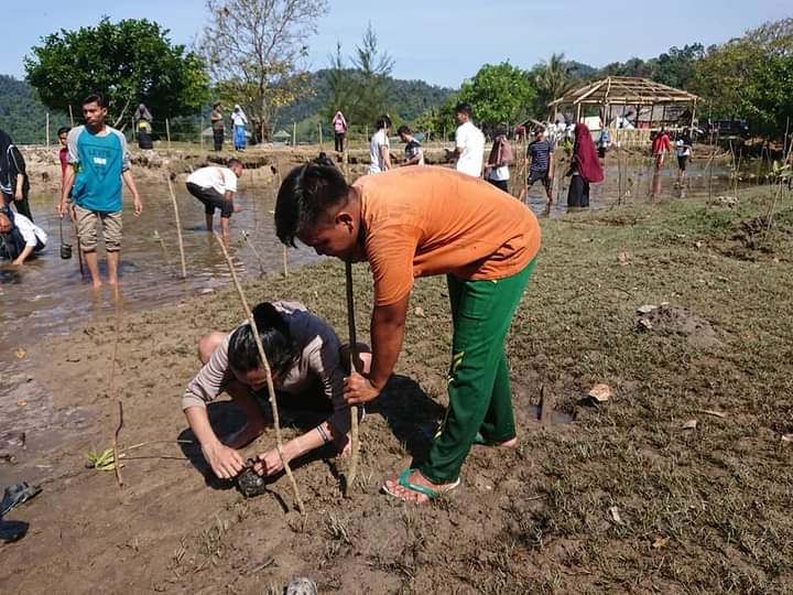 Peringati Sumpah Pemuda,Nagari Bersama Pemuda Tanam Mangrove