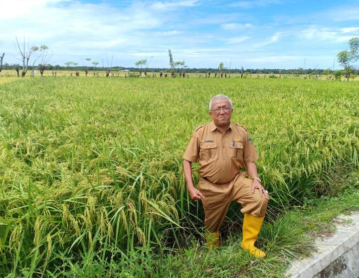 Menteri Pertanian RI Akan Lakukan Kunjungan Kerja Ke Pesisir Selatan Akhir November 2020