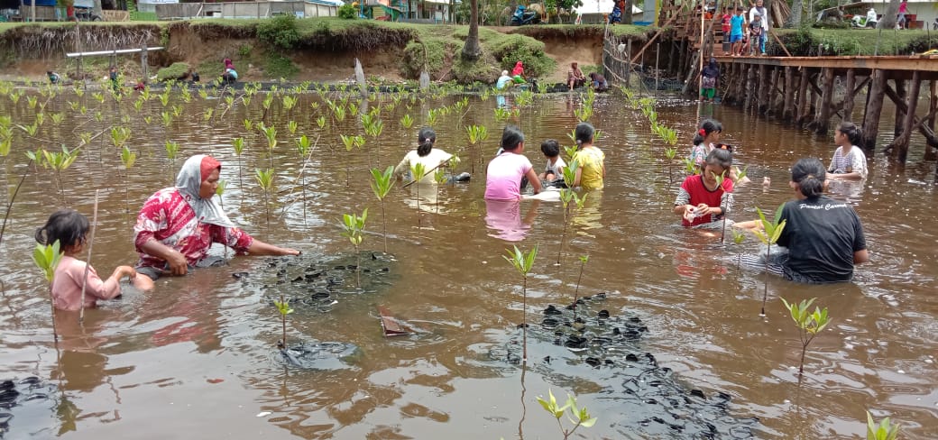 Plt Kadis DLH Pessel, Bany Rizwan: Pokwasmas LP2L Amping Parak Cegah Abrasi Dengan Hutan Mangrove