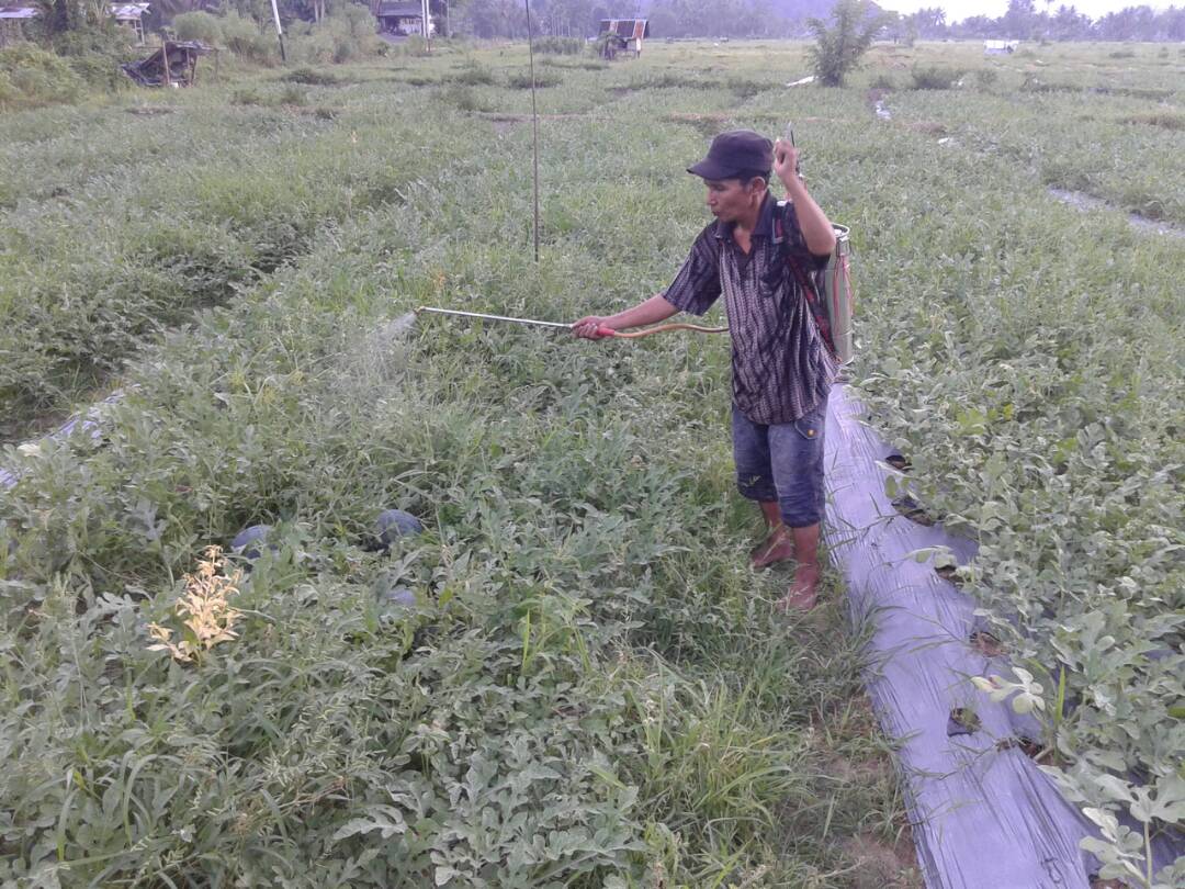 Warga Makin Minat Alih Fungsi Lahan 