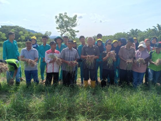 Kepala Distanhotbun Ir. Nuzirwan. N. MT. Komoditi Bawang Merah Memberikan Ekonomi Cukup Tinggi