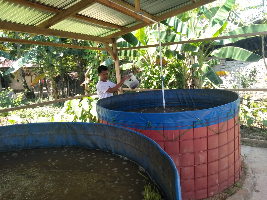 BUMNag Taratak Maimbau Budidaya Lele Bioflok