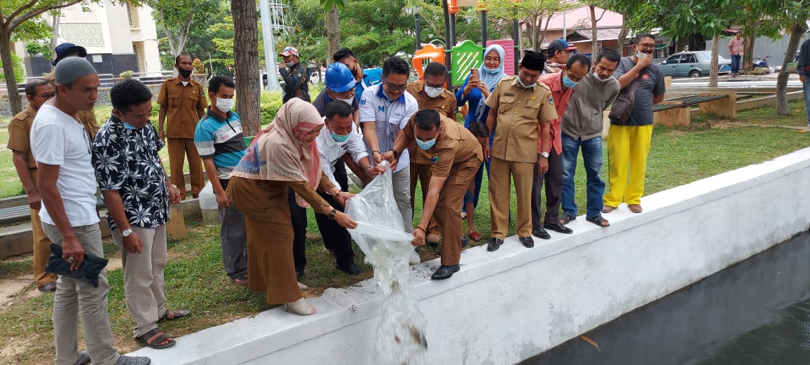 Bupati Tebar 5000 Benih Ikan Di  Bandar Depan Masjid Akbar Baiturrahman Painan