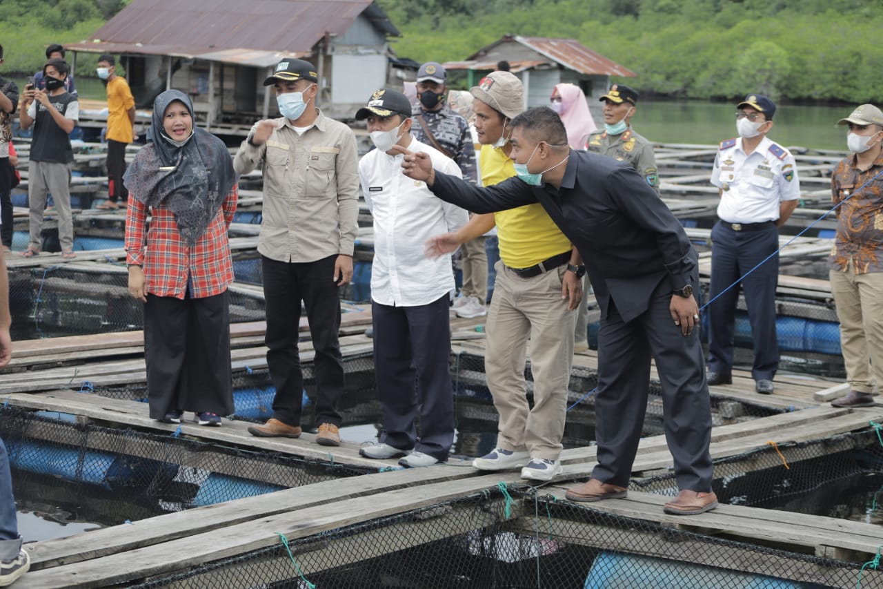 Wabup Tinjau Budidaya Ikan Kerapu Sistem Keramba Jaring Apung Di Sungai Nyalo