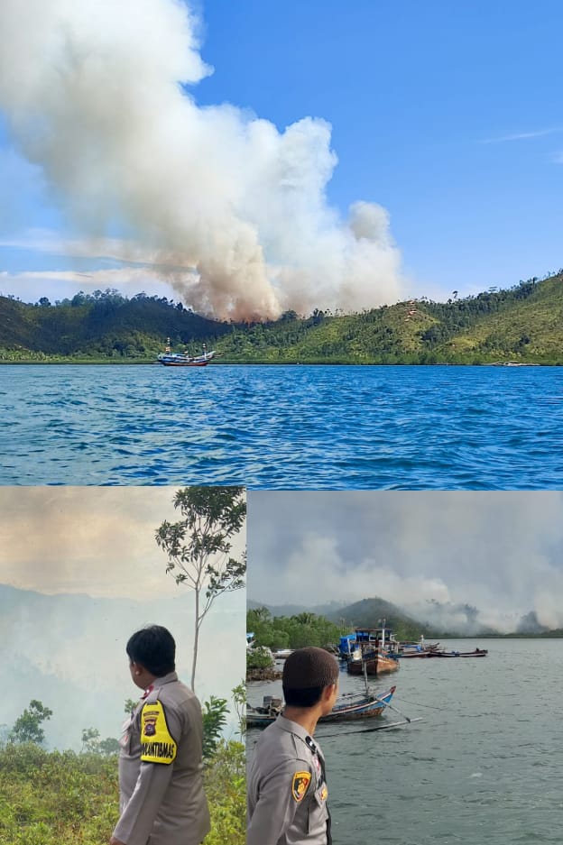 10 Ha lebih, Hutan dan Ladang di Bukit Ameh, Koto XI Tarusan Pessel terbakar.