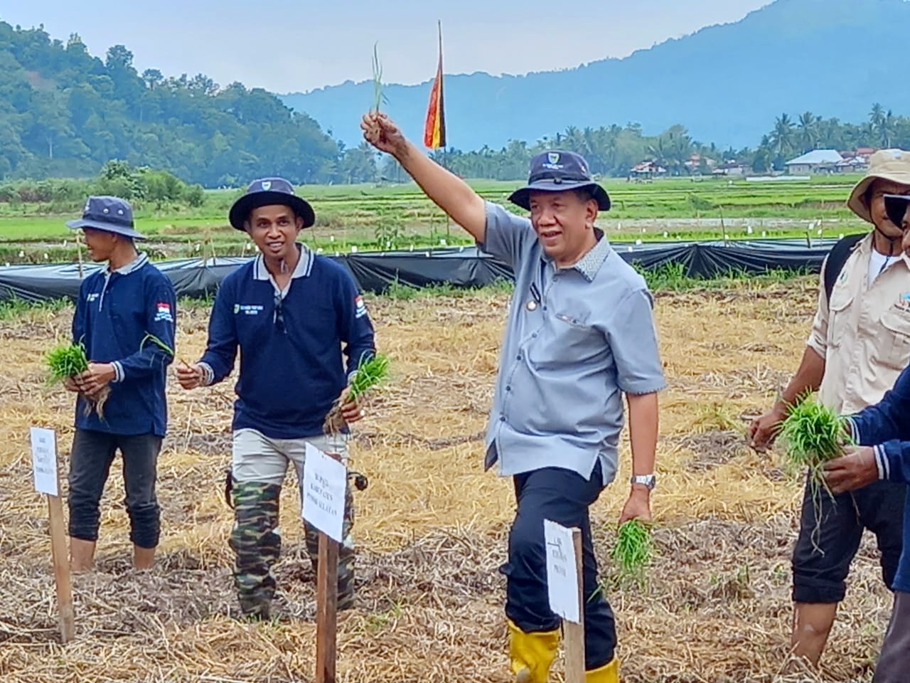 KSA Catatkan Kabupaten Pesisir Selatan Sebagai Penyumbang Padi Terbesar di Sumatera Barat