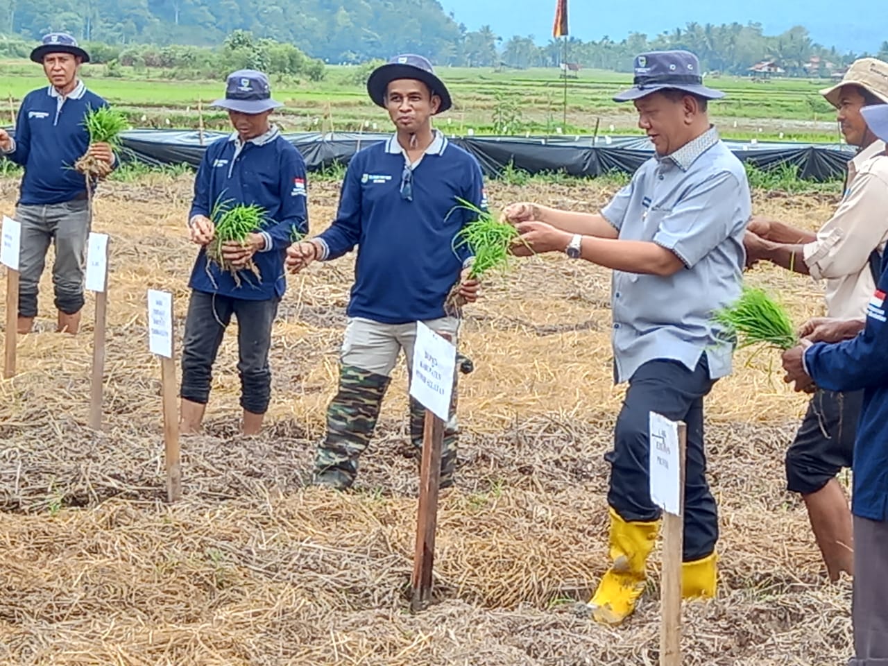 Tingkatkan Ekonomi Keluarga, Petani Harus Singkirkan Sifat Malas
