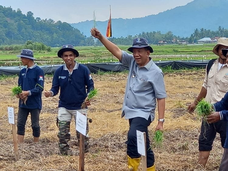 Pesisir Selatan Lumbung Pangan Sumatera Barat dengan Kekuatan Generasi Muda
