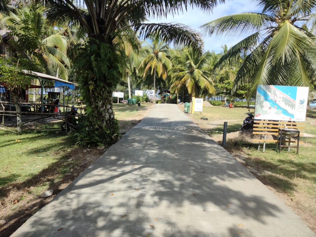 Bukan Melalui CSR Ternyata Jalan Rabat Beton di Ekowisata Konservasi Penyu Amping Parak Dibangun Pakai Dana APBD