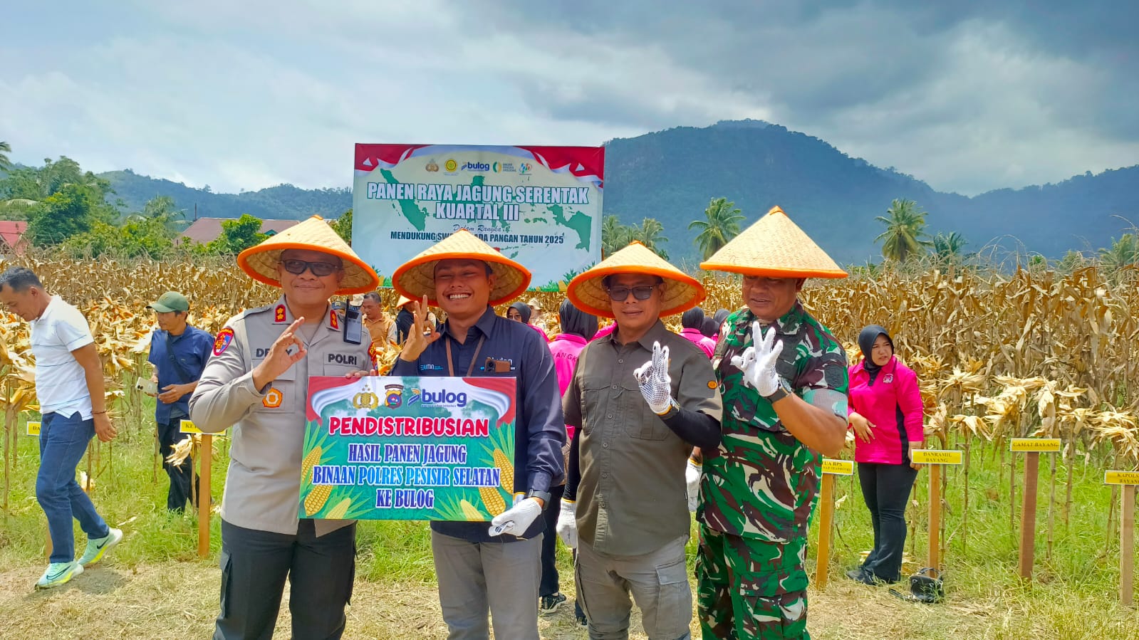 Wabup Risnaldi Hadiri Panen Raya Jagung Serentak Kuartal III di Bayang  