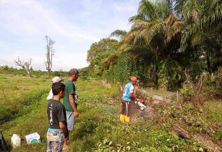 Masyarakat Nagari Binjai Tapan Goro Membersihkan Jalan Usaha Tani