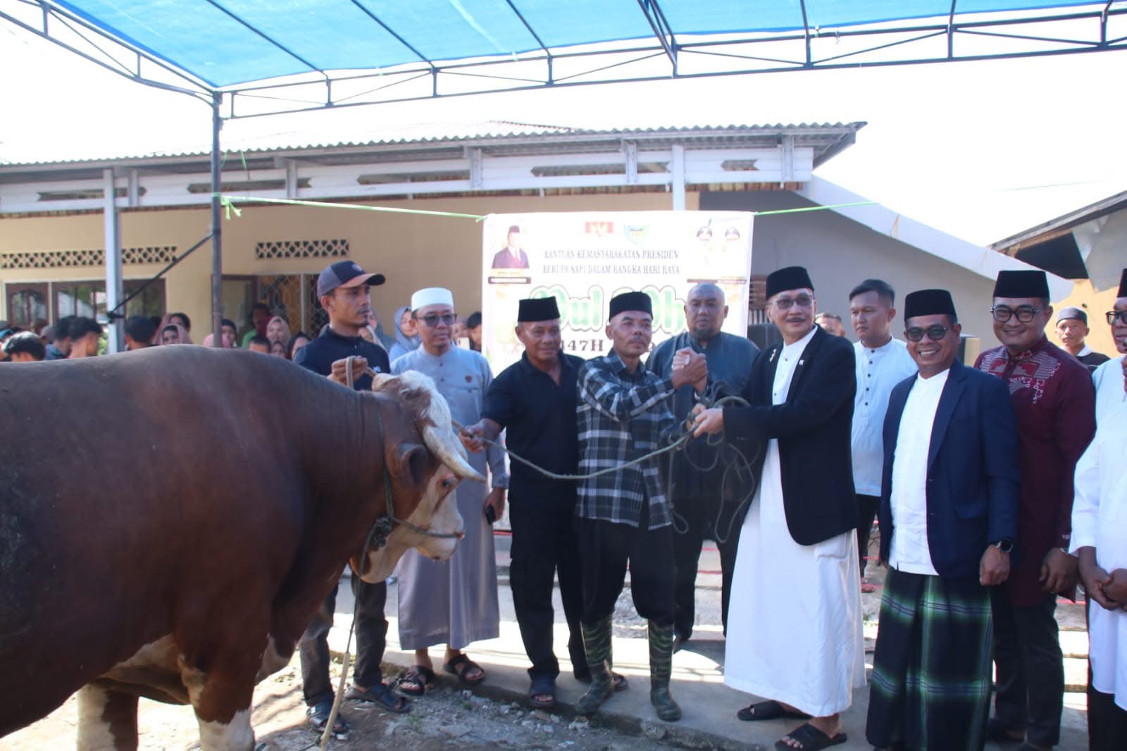 Idul Adha 1447 H: Pesisir Selatan Sembelih 4.602 Ekor Hewan Qurban, Lengayang Terbanyak