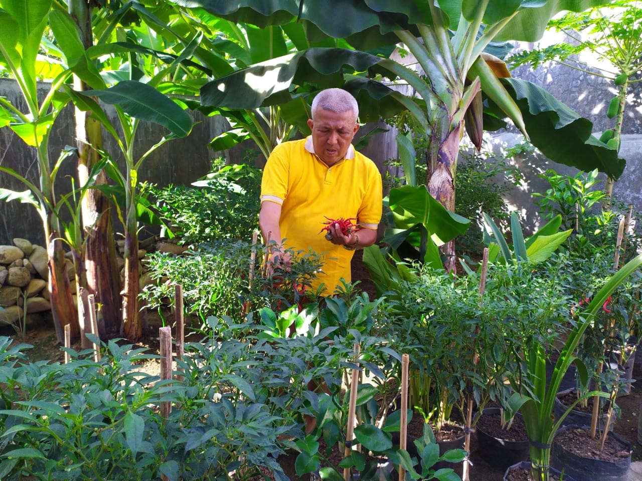 Potensi Pengembangan Agrowisata Hampir Dimiliki Oleh Semua Nagari di Pessel