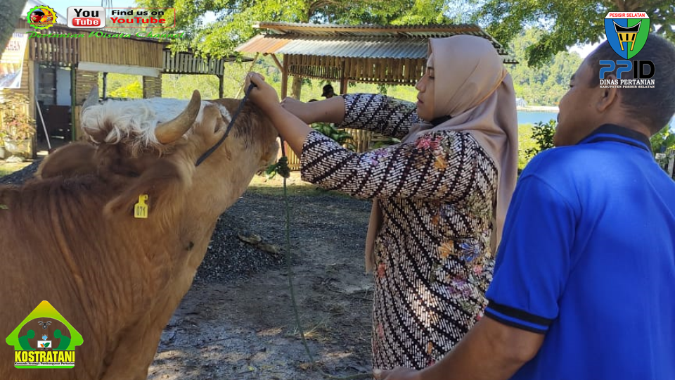Penguatan SDM Veteriner Jadi Pilar Nagari Sehat, Pessel Hadiri Lokakarya PSKH Unand