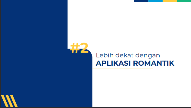 Pernggunaan APLIKASI ROMANTIK Online BPS