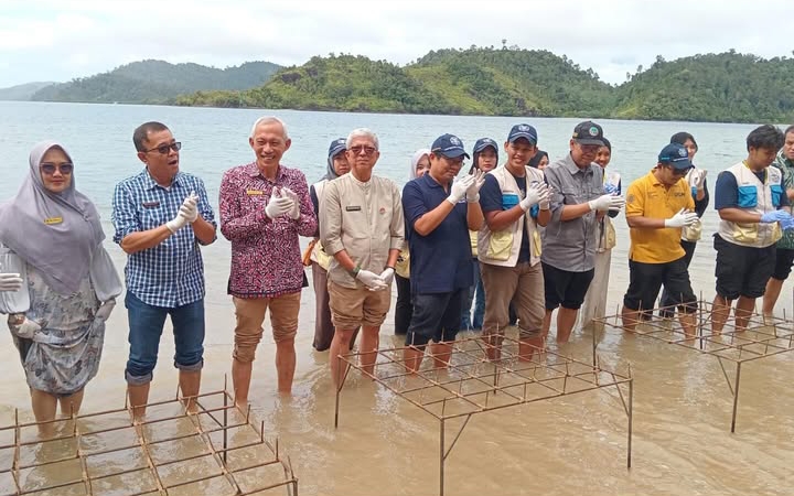 Pemkab Pessel Bersama Wakil Rektor UGM dan Dirjen Kehutanan Tanam Mangrove di Festival Menoreh Mandeh