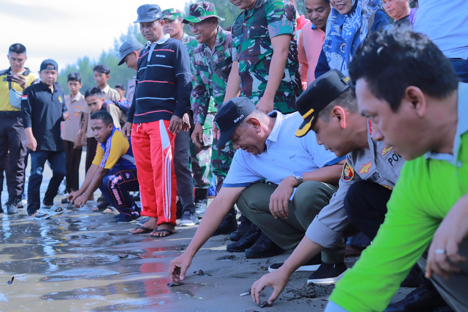 Bupati Rusma Yul Anwar hadiri Penanaman Mangrove dan Pelepasan Tukik