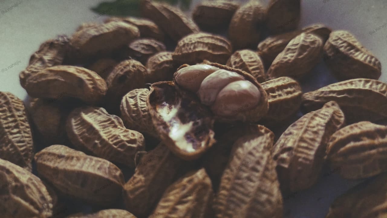 Kacang Tanah: Si Kecil Bergizi dari Dalam Tanah