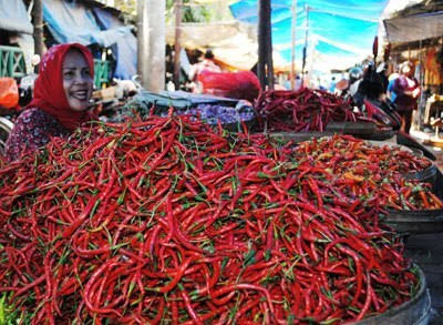 Harga Cabe Meningkat Menjelang Idul Adha 