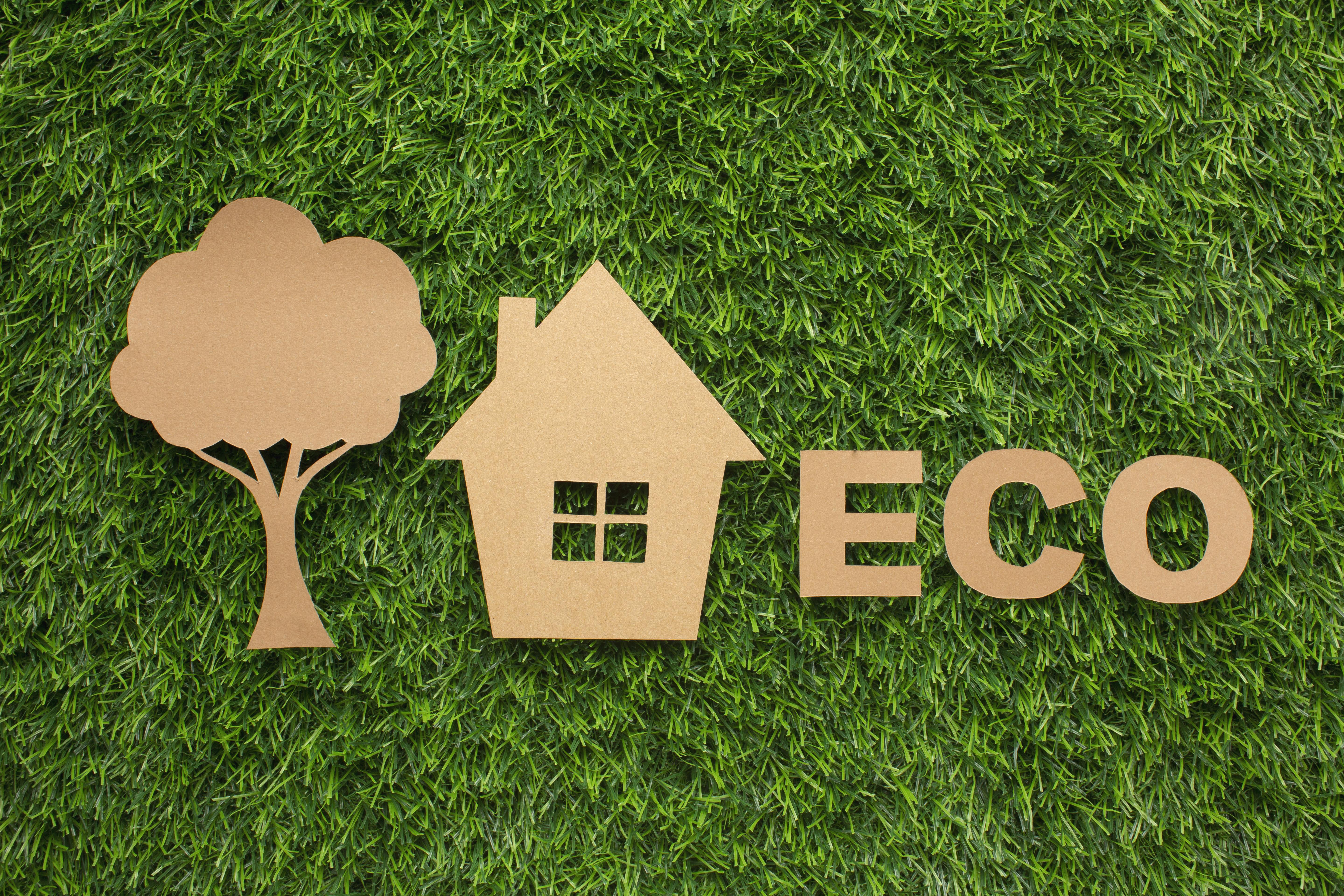 Mengenal Eco Living: Hidup Selaras dengan Alam