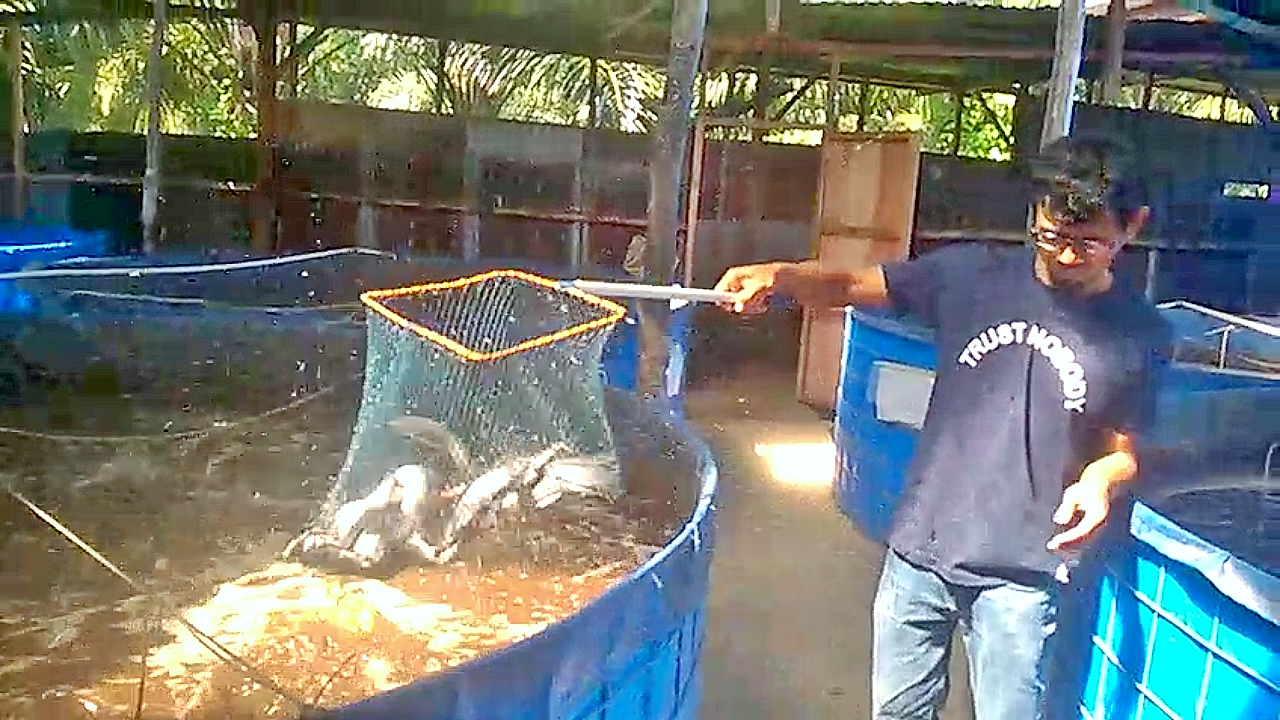 Kelompok Budidaya Farm Biofloc Ar-Razzaaq Kembangkan Sistem Bioflok